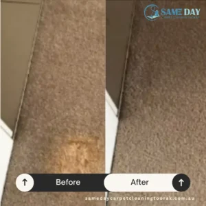 spill free professional carpet cleaning toorak service