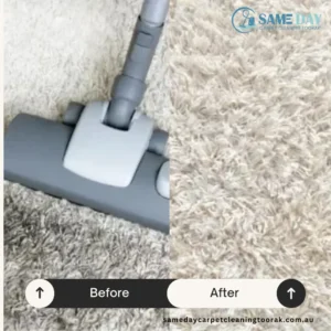 stain free professional carpet cleaning toorak service